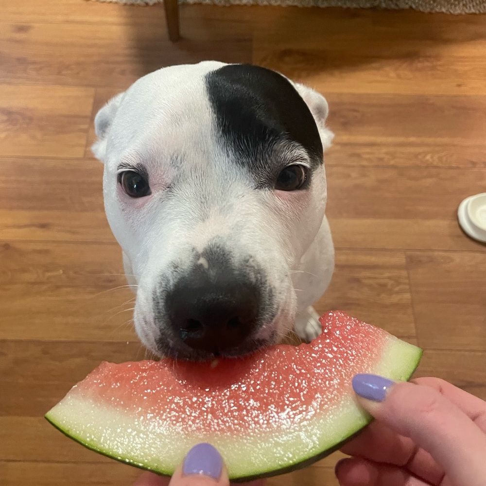 Meet your Posher, Justin